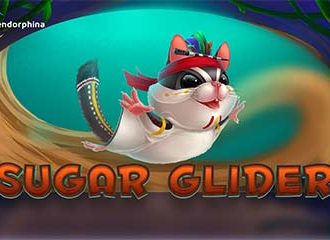 Sugar Glider